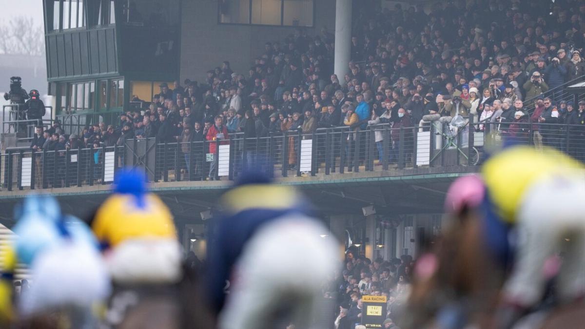 Horse racing at Warwick